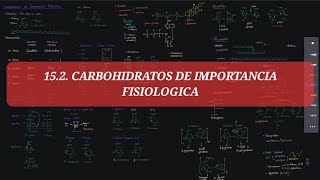 BQ 15 Glucósidos disacáridos y polisacáridos  Carbohidratos de Importancia Fisiologica Parte 02 [upl. by Purvis]