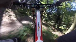 Extreme tuned Haibike Downhill PRO bei 31 Grad im Wald 2 [upl. by Erkan834]