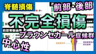 【脊髄損傷⑤】不完全損傷の特殊型（中心性脊髄損傷・ブラウンセカール症候群など）【理学療法士・作業療法士】 [upl. by Binette]