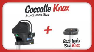 Prezentare Scoica Auto Coccolle Knox iSize plus Baza Isofix [upl. by Kermie]