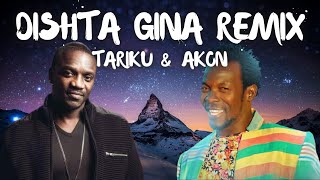 Dishta Gina Remix lyrics  Tariku amp Akon [upl. by Lamhaj]