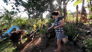 DIA A DIA NO SÍTIO ARRUMANDO MEU JARDIM E FAZENDO ALMOÇO [upl. by Harima182]