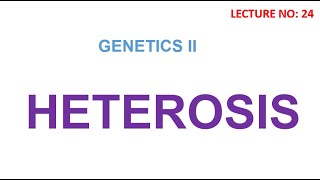 Heterosis  hybrid vigor  genetics lectures [upl. by Carpio871]