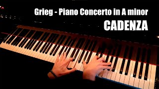 Grieg Piano Concerto  Cadenza Full Recording [upl. by Hesoj65]