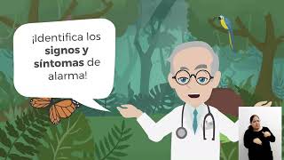 ¡Cuidado con el Dengue Información crucial para tu bienestar y el de tu familia [upl. by Rhianna]