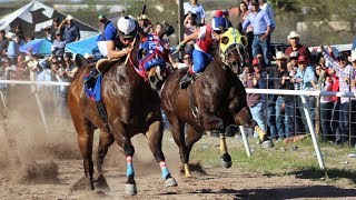 Carreras de Caballos en el Hipodromo de Rayon 04 Octubre 2020 [upl. by Lekim]