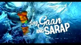 Coffee break island  Ang gaan Ang sarap mp3 download nestea 2012 [upl. by Sinaj420]