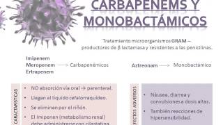 todo sobre antibioticos [upl. by Maffa]