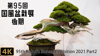 【盆栽】第95回 国風盆栽展（後期）【Bonsai】The 95th Kokufu Bonsai Exhibition 2021 Part2 [upl. by Arreit]