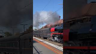 R761 Tender First Up Through Yarraville [upl. by Dich846]