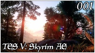 TES VSkyrim AE 001 Начало приключений [upl. by Pegg789]