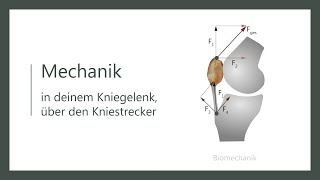 Wie funktioniert dein Knie  Biomechanik  Wirkweise des Quadrizeps  Kniestreckung [upl. by Airan]