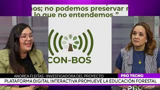 Plataforma digital interactiva para promover la educación forestal [upl. by Yrrap]