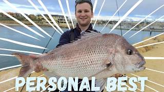 Rock Wall Snapper Fishing Perth Triumph and Defeat [upl. by Nnyleimaj]