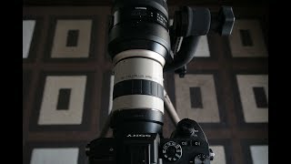 Kenko Pro 300 3x with Tamron 150  600 G2 on Sony A7r3 [upl. by Ardnoid]