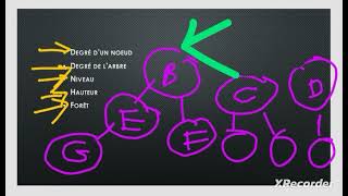 les arbres en C  termologie  structure de donné  langage C [upl. by Kore]