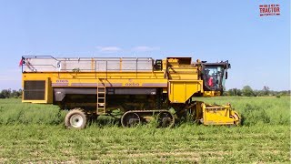 LIMA BEAN HARVEST  OXBO 6156 Combine [upl. by Olsewski]