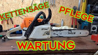 Kettensäge Pflege und Wartung [upl. by Serafine614]