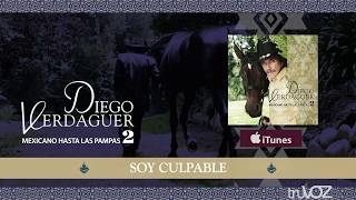 Diego Verdaguer  Soy Culpable Audio Oficial [upl. by Nauh842]