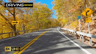 Experience a Scenic Fall Drive in the Catskills [upl. by Brandea]