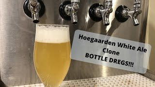 Cloning Hoegaarden White Beer from Bottle Dregs  Brew Dudes [upl. by Nobie]