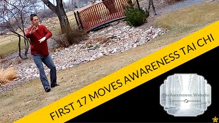 First 17 Moves of Awareness Tai Chi [upl. by Naujyt]