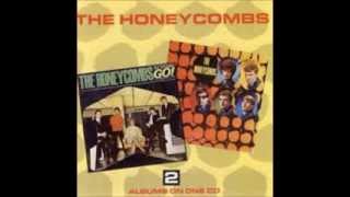 The Honeycombs Our day will come [upl. by Ellary]