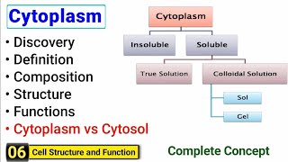 Cytoplasm structure and function  Complete Concept  J Biology [upl. by Garey]