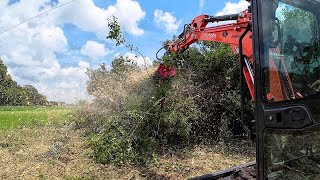 PINPOINT DESTRUCTION Flail Mulcher VS Fixed Forestry Mulcher [upl. by Snah40]