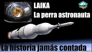 LAIKA LA PERRA ASTRONAUTA LA HISTORIA JAMÁS CONTADA [upl. by Yreffej]