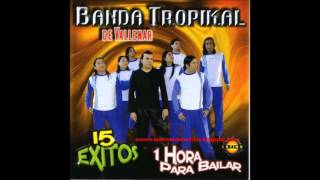 Banda Tropikal 15 Exitos [upl. by Modesty]