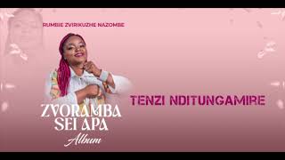 Tenzi Nditungamire  Rumbie Zvirikuzhe  Official Audio [upl. by Ayaros690]