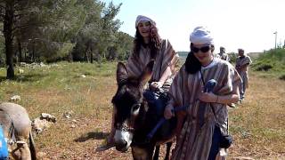 Donkey Riding at Kfar Kedem 1 of 2 [upl. by Ennaoj]