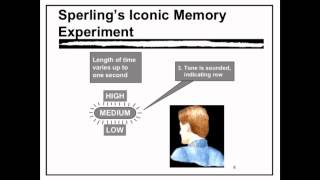 Sensory Memory  VCE Unit 3 Psychology [upl. by Kittie343]