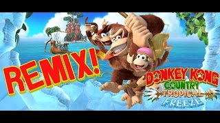 Donkey Kong Country Tropical Freeze Wing Ding REMIX [upl. by Barger]