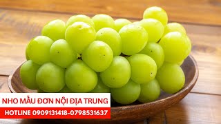 Nho Mẫu đơn nội địa Trung chùm nho cầm trĩu tay [upl. by Petromilli]