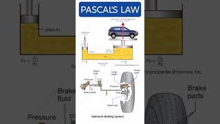 What is Pascals Law mechanicalengineering fluidmechaics [upl. by Rutan678]