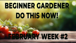 Beginner Gardener do this now February 2024 [upl. by Astera934]