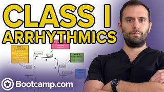 Class I Antiarrhythmics  HIGHYIELD CARDIOLOGY  USMLE STEP 1 [upl. by Ahtanaram29]