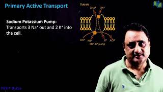 Membrane Transport [upl. by Otrebtuc]