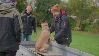 Test der Wesensprüfung  1 Hund kompletter Ablauf [upl. by Eineeuq607]