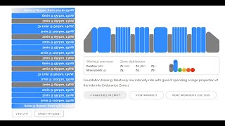 Zwift FTP Builder Plan 9 Foundation [upl. by Nahallac990]