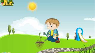 Learn how do plants grow [upl. by Ymled]