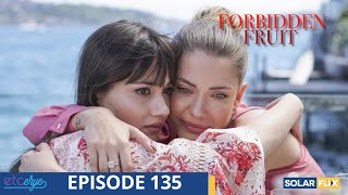 Forbidden Fruit Episode 135  FULL EPISODE  TAGALOG DUB  Turkish Drama [upl. by Shaughn]