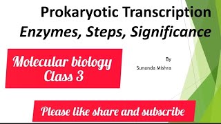 Transcription in prokaryotes molecularbiology transcription biotechnology botany [upl. by Biddle]