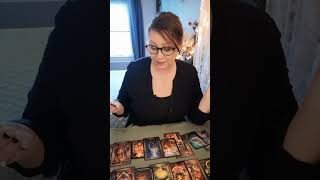 ‼️🟡 De Vos In Het Kippenhok • Tarot Reading 2024 [upl. by Menell]