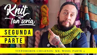 Knit tan Seria 19  Tintoreros chilenos Mister Wool parte 2 [upl. by Stoll545]