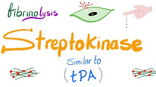 Fibrinolytic Therapy Let’s Destroy the Clot [upl. by Porush]