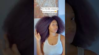 Freshly trimmed hair naturalhair 4chaircare naturalhair [upl. by Aihsram993]