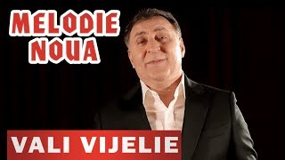 Vali Vijelie si Stelu Pandelescu  Sotia mea frumoasa NOU 2019 [upl. by Aleahpar]